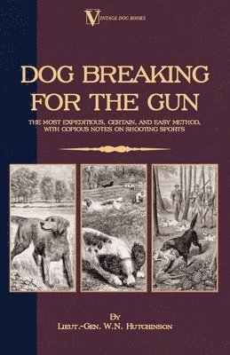 Lieut.-Gen. W.N. Hutchinson - Dog Breaking For The Gun, Häftad