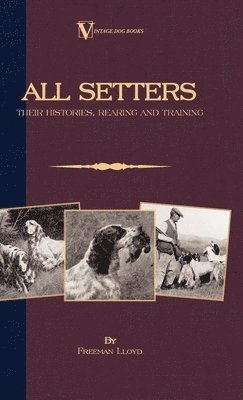 Freeman Lloyd - All Setters, Häftad