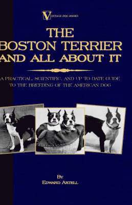 Edward Axtell - Boston Terrier And All About It - A Practical, Scientific, And Up To Date Guide To The Breeding Of The American Dog (A Vintage Dog Books Breed Classic), Inbunden
