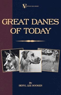 Beryl Lee Booker - Great Danes of Today (A Vintage Dog Books Breed Classic), Häftad. Tillgänglighet: Lägg i varukorg