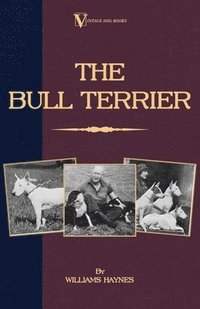 Bull Terrier (A Vintage Dog Books Breed Classic)