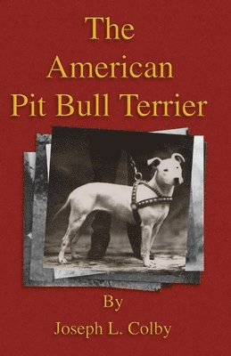 American Pit Bull Terrier (History Of Fighting Dogs Series) av Joseph L Colby, Joseph L Colby