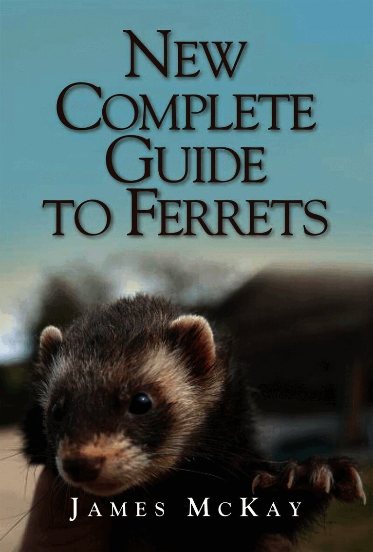 James McKay - New Complete Guide to Ferrets, Häftad