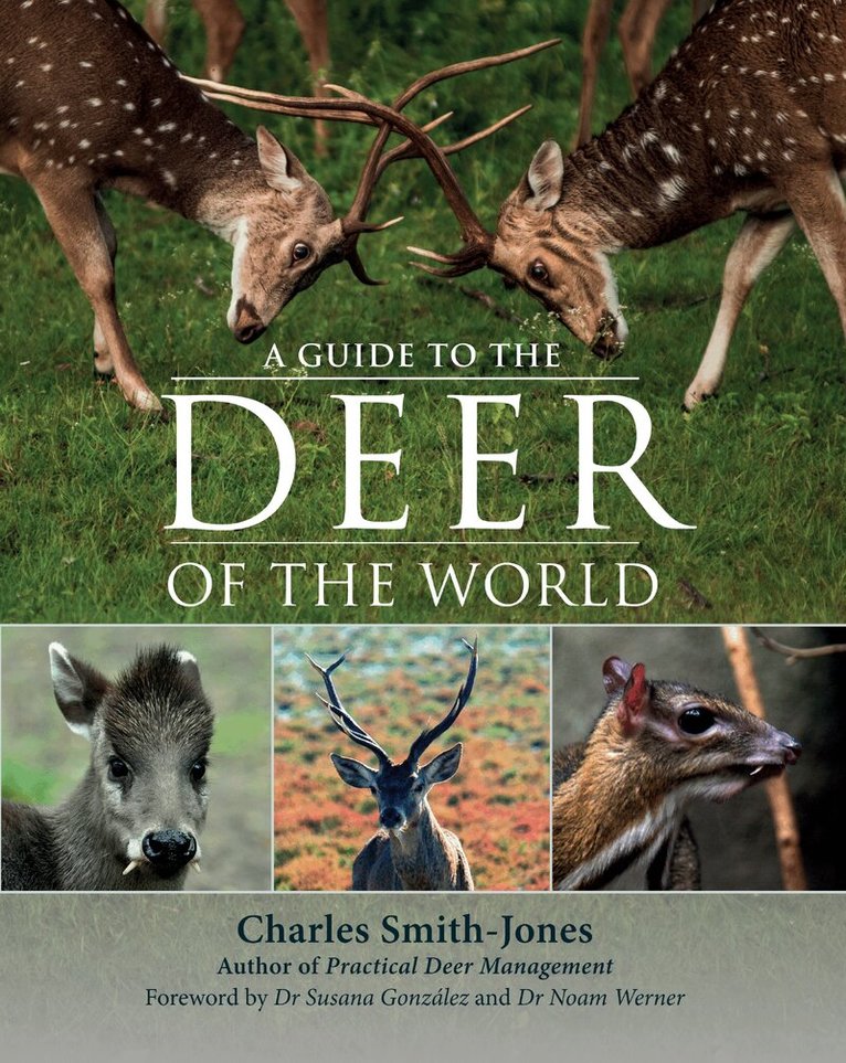 Charles Smith-Jones - Guide to the Deer of the World, Inbunden