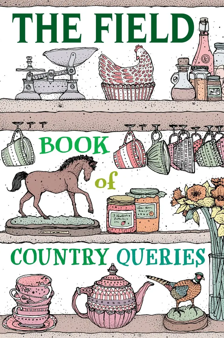 Field Book of Country Queries