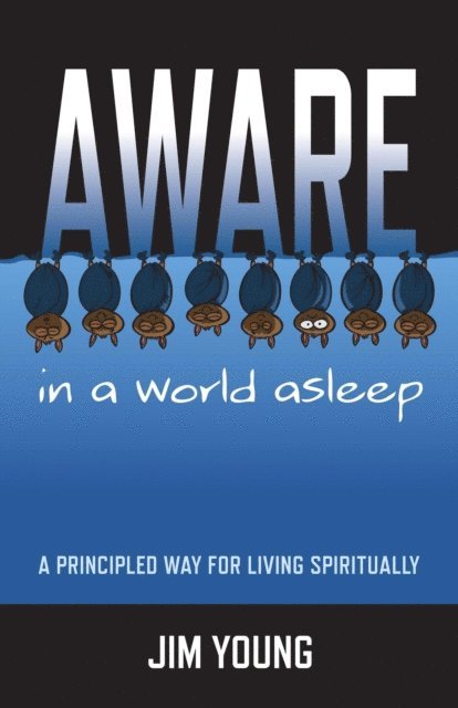 Jim Young - Aware In A World Asleep, E-bok