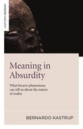 Meaning in Absurdity  What bizarre phenomena can tell us about the nature of reality