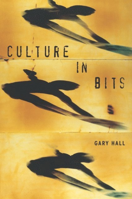 Gary Hall - Culture in Bits, E-bok
