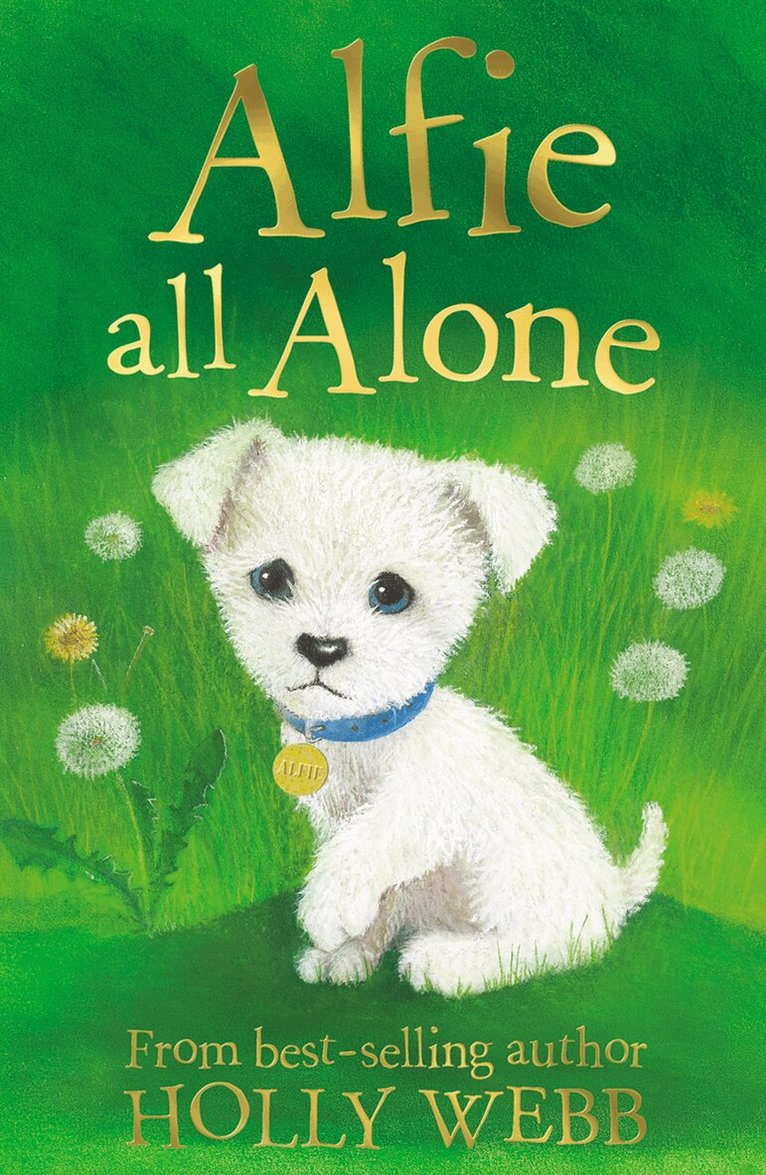 Holly Webb - Alfie All Alone, Häftad. Tillgänglighet: Lägg i varukorg
