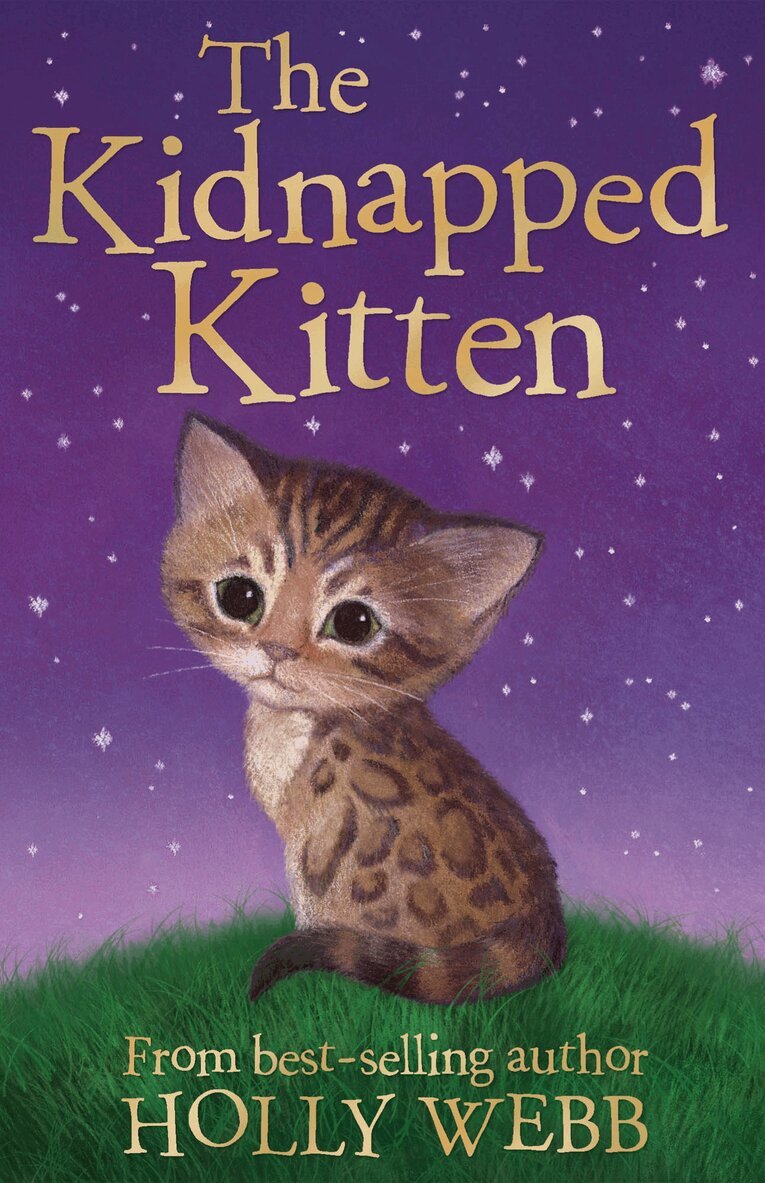 Holly Webb - The Kidnapped Kitten, Häftad
