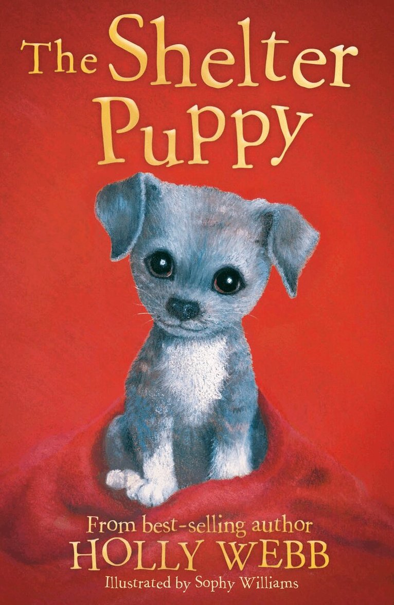 Holly Webb - The Shelter Puppy, Häftad