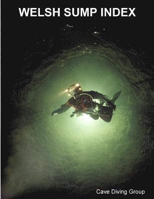 Duncan Price - Welsh Sump Index, Häftad