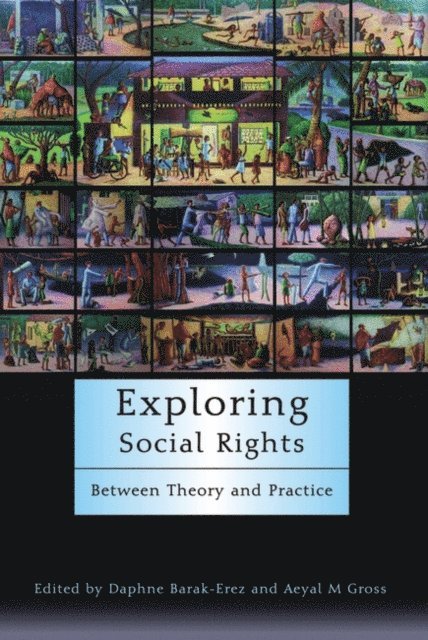 Daphne Barak-Erez, Aeyal Gross - Exploring Social Rights, E-bok