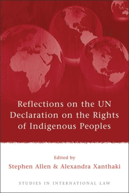 Stephen Allen, Alexandra Xanthaki - Reflections on the UN Declaration on the Rights of Indigenous Peoples, E-bok
