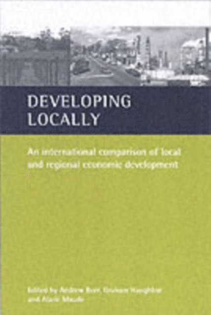Graham Haughton, Andrew Beer - Developing locally, E-bok
