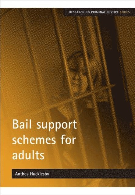 Anthea Hucklesby - Bail support schemes for adults, E-bok