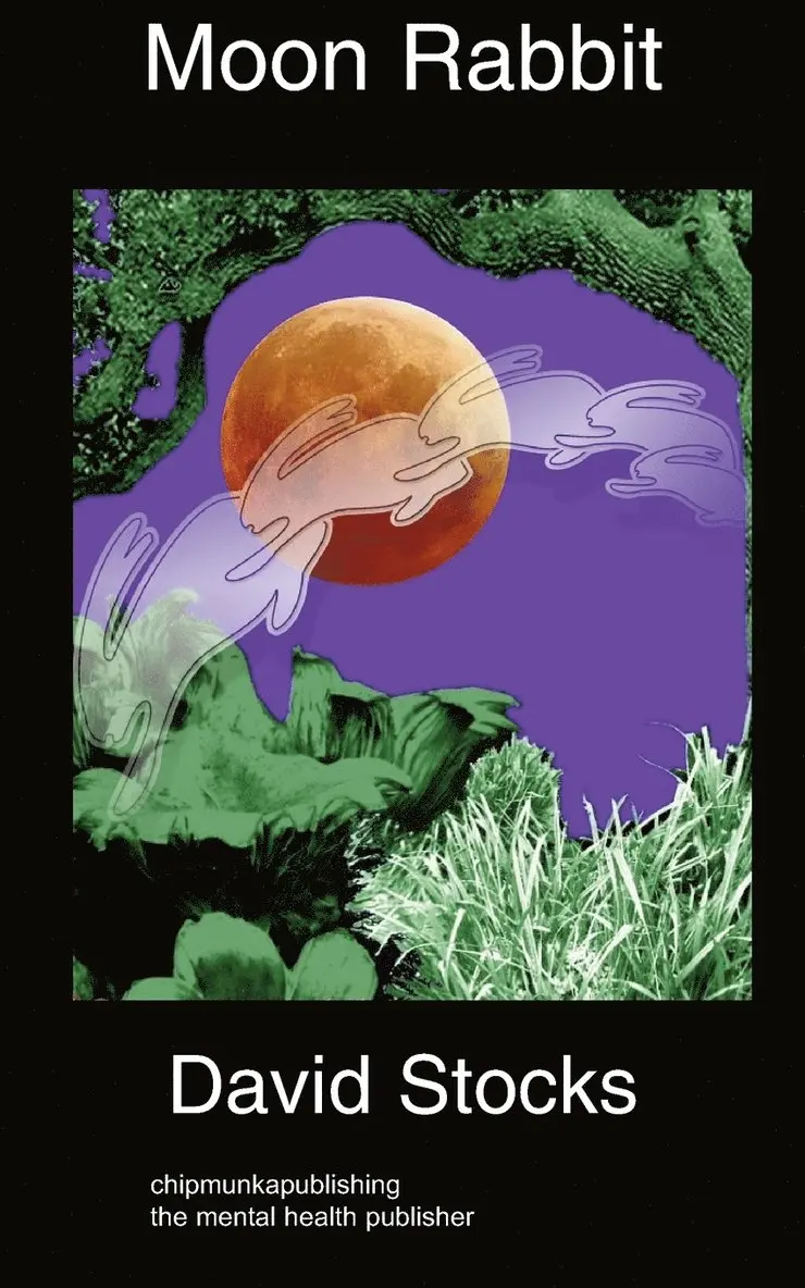 David Stocks - Moon Rabbit, Häftad. Tillgänglighet: Lägg i varukorg