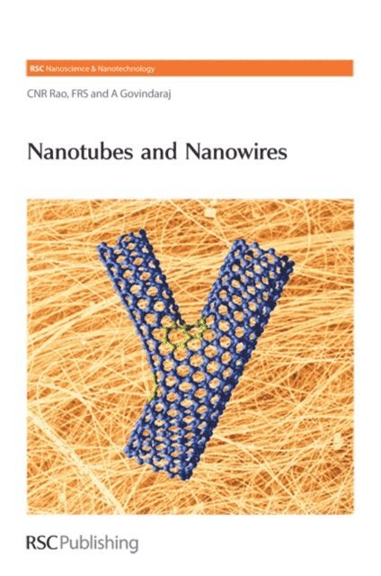 A Govindaraj, C N Ram Rao - Nanotubes and Nanowires, E-bok