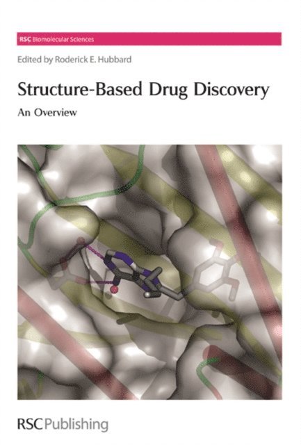 Roderick E Hubbard - Structure-Based Drug Discovery, E-bok