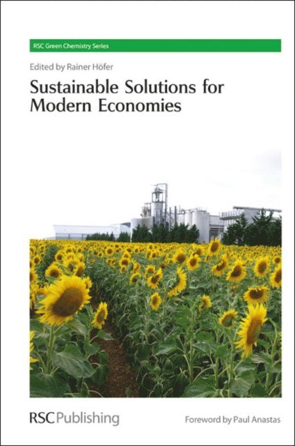 Rainer Hofer - Sustainable Solutions for Modern Economies, E-bok