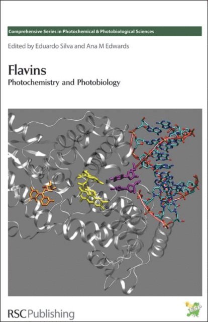 Ana M Edwards, Eduardo Silva - Flavins, E-bok