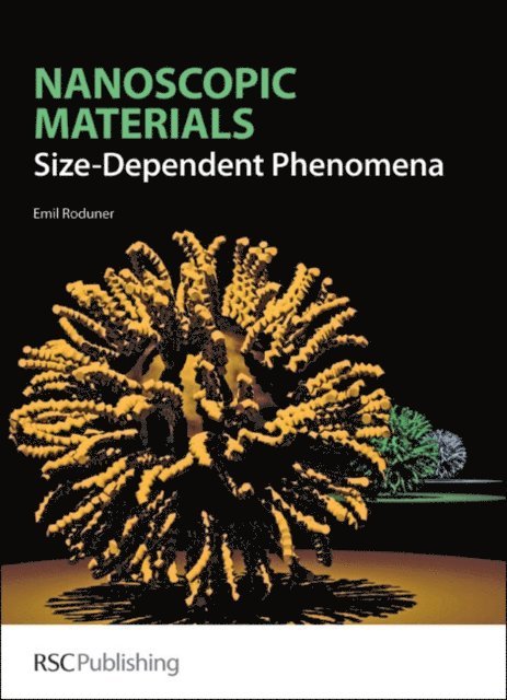 Emil Roduner - Nanoscopic Materials, E-bok