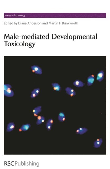 Martin H Brinkworth, Diana Anderson - Male-mediated Developmental Toxicity, E-bok
