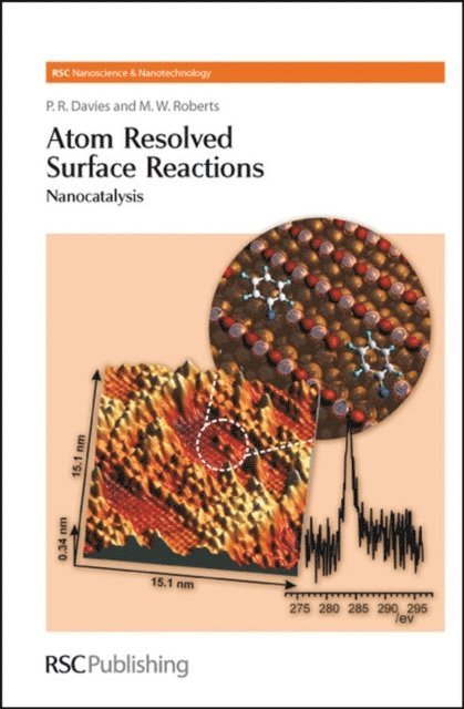 M W Roberts, P R Davies - Atom Resolved Surface Reactions, E-bok. Tillgänglighet: Lägg i varukorg