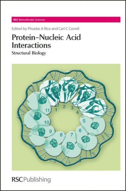 Carl C Correll, Phoebe A Rice - Protein-Nucleic Acid Interactions, E-bok
