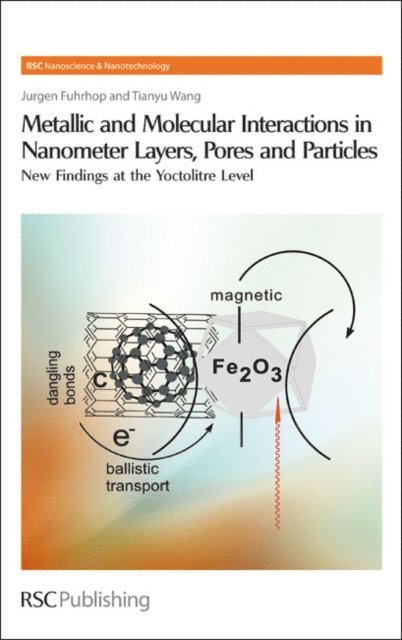Tianyu Wang, Jurgen-Hinrich Fuhrhop - Metallic and Molecular Interactions in Nanometer Layers, Pores and Particles, E-bok