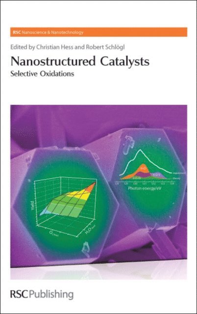 Robert Schlogl, Christian Hess - Nanostructured Catalysts, E-bok