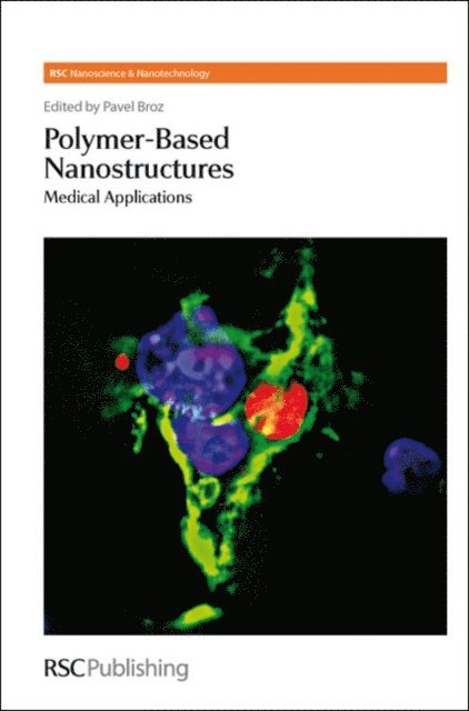 Pavel Broz - Polymer-based Nanostructures, E-bok