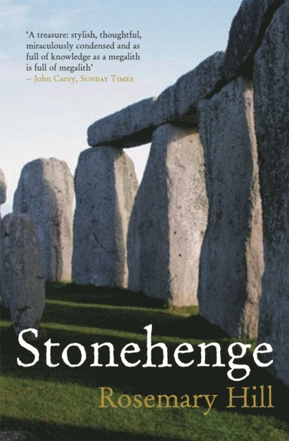 Rosemary Hill - Stonehenge, E-bok