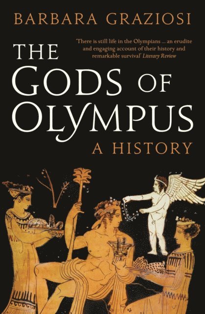 Barbara Graziosi - Gods of Olympus: A History, E-bok