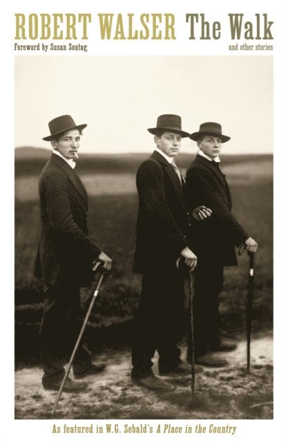 Robert Walser - Walk, E-bok