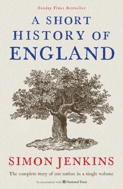 Simon Jenkins - Short History of England, E-bok