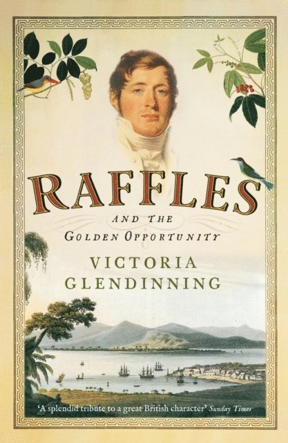 Victoria Glendinning - Raffles, E-bok