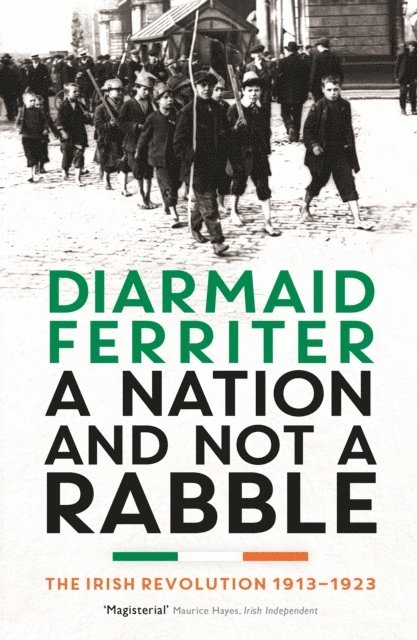 Diarmaid Ferriter - Nation and not a Rabble, E-bok