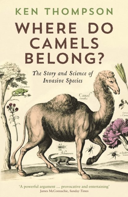Ken Thompson - Where Do Camels Belong?, E-bok