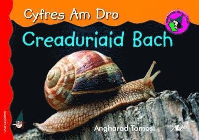 Angharad Tomos - Cyfres am Dro: 4. Creaduriaid Bach, Häftad