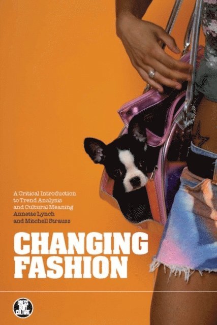Annette Lynch, Mitchell Strauss - Changing Fashion, E-bok
