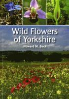 Wild Flowers of Yorkshire