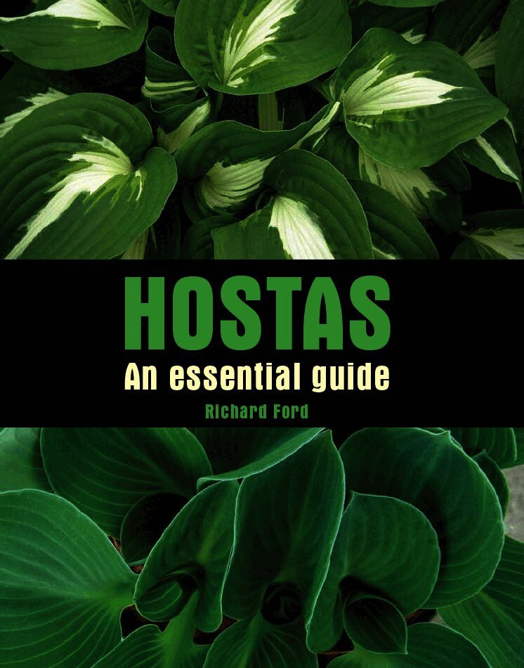 Richard Ford - Hostas, Inbunden
