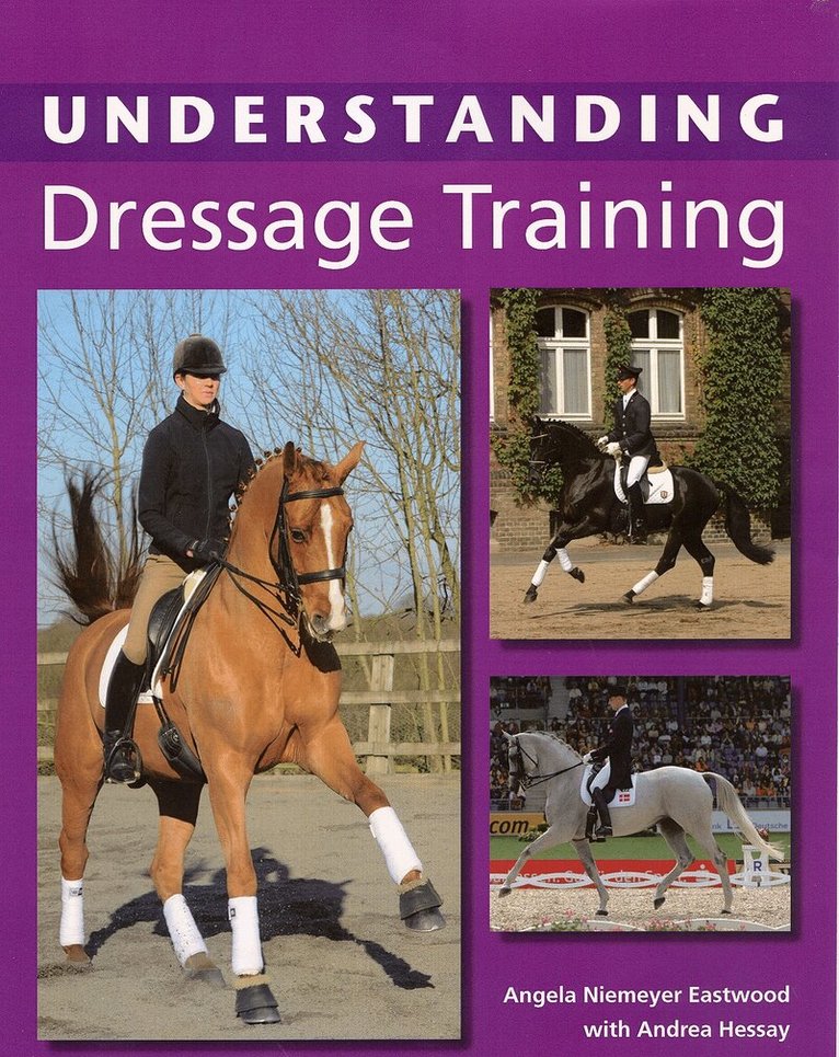 Understanding Dressage Training