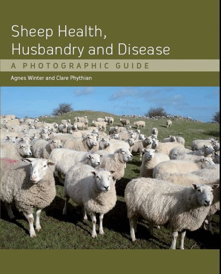 Agnes C Winter, Clare Phythian - Sheep Health, Husbandry and Disease, Inbunden