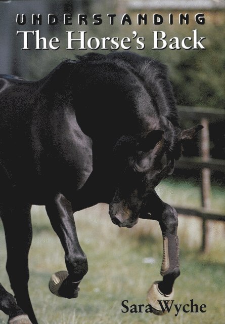 Sara Wyche - Understanding the Horse's Back, E-bok. Tillgänglighet: Lägg i varukorg