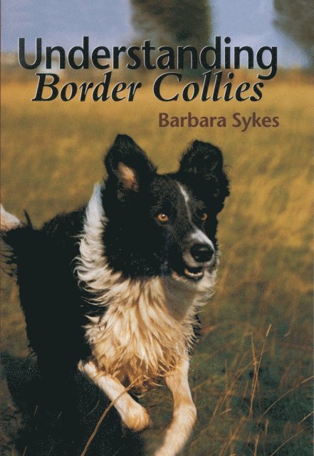 Understanding Border Collies