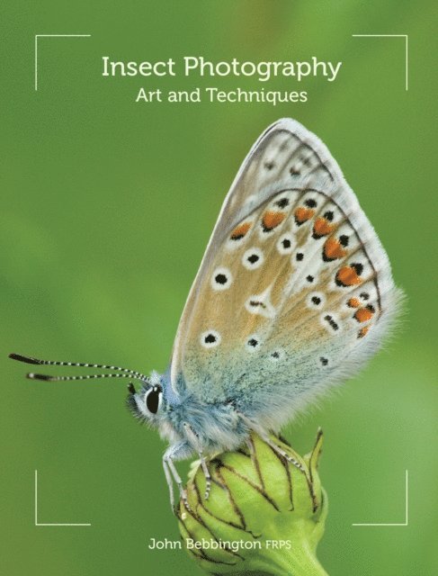John Bebbington - Insect Photography, E-bok
