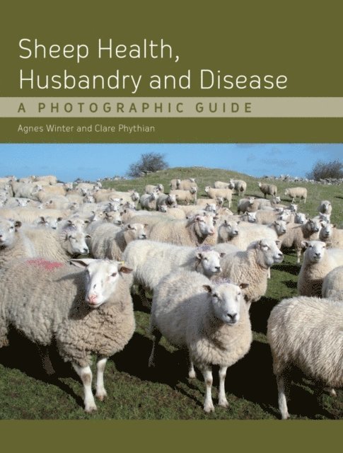 Clare Phythian, Agnes C Winter - Sheep Health, Husbandry and Disease, E-bok