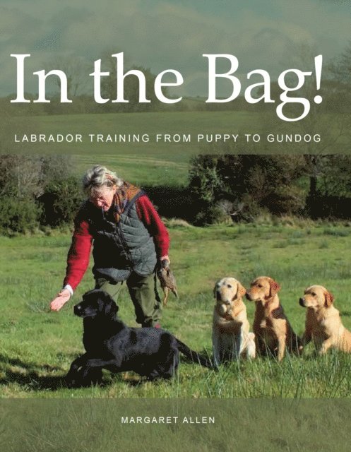 Margaret Allen - In the Bag!, E-bok